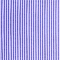 Blue and White Stripe Shirt Fabric