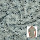 Sky Blue Mini Leaf Print Casual Shirt Fabric